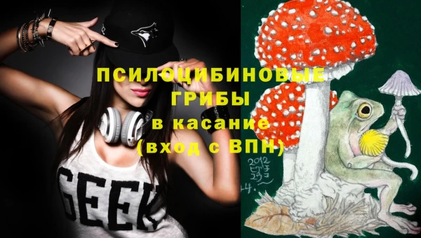 стафф Арсеньев