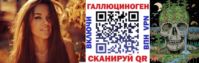 купить наркоту  Салаир  Псилоцибиновые грибы Magic Shrooms 