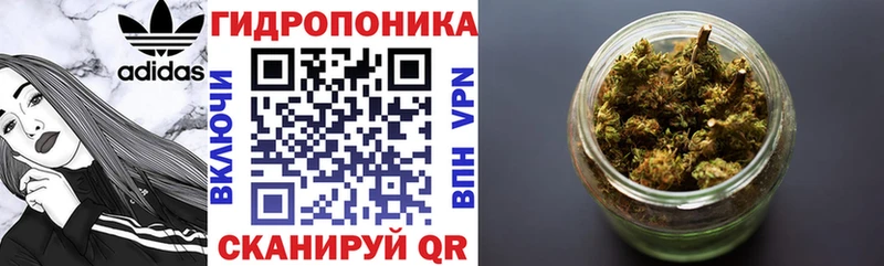 Каннабис Amnesia  Салаир 